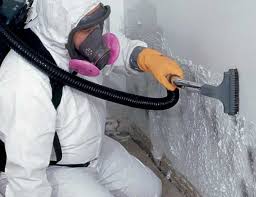 Why You Should Choose Our Mold Remediation Services in Discovery Harbour, HI